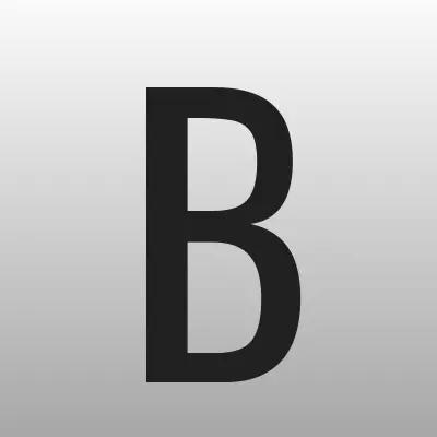 Бюро Деловых Услуг, лого-визитка